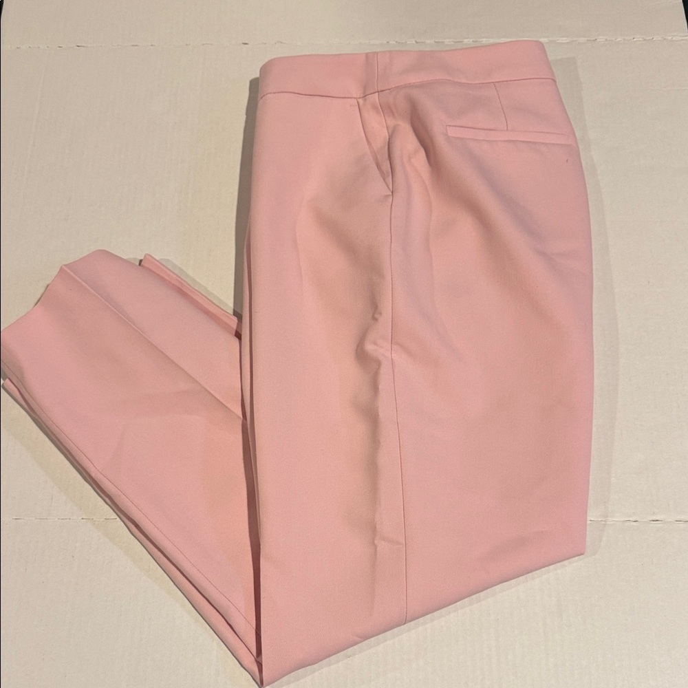 Zara Light Pink Trousers
